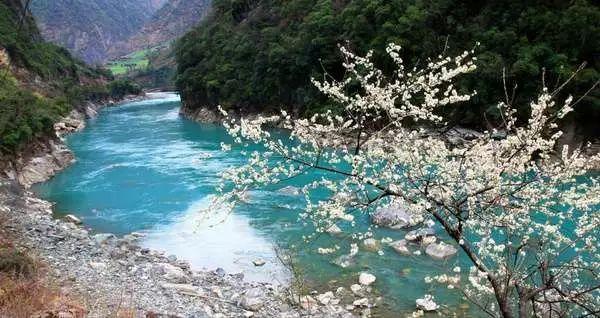 逃离危险禁地
