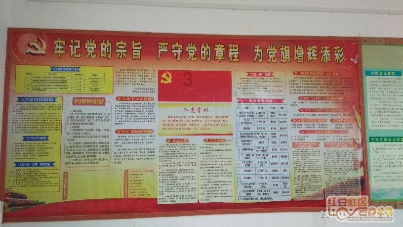 场均4.8分却能坐稳先发？火箭二队也有点太照顾他面子了吧？